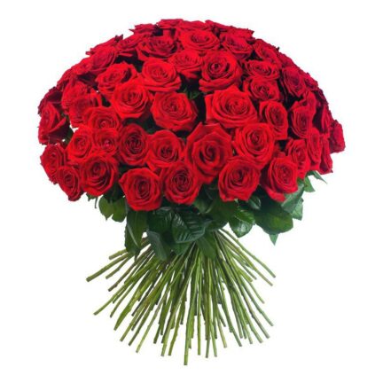 Букет "51 красная роза" (60см)