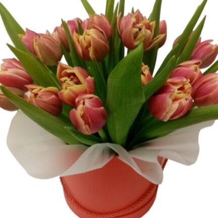 Коробка Коробка