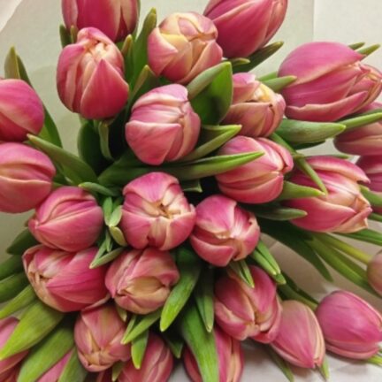 Букет Букет